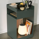 Lámpara Lucca SC51 Portable - Moss