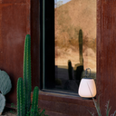 Lámpara Lucca SC51 Portable - Moss