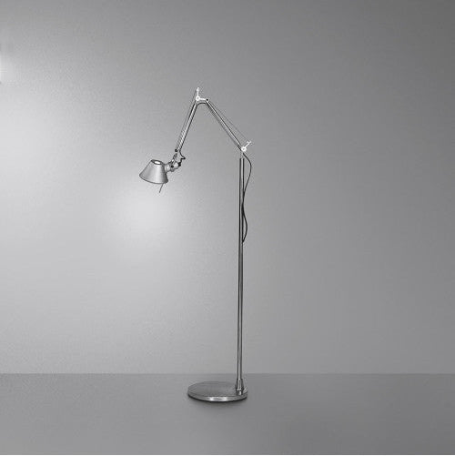 Tolomeo Micro Terra