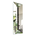 Reverse Mirror