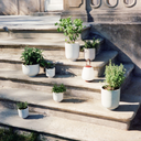 Lucca SC51 Portable Lamp - Maroon