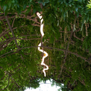 Lámpara La Línea 2.5