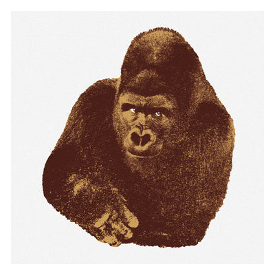 Serigrafía Il Gorilla