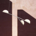 Lámpara Almendra - Orgánica